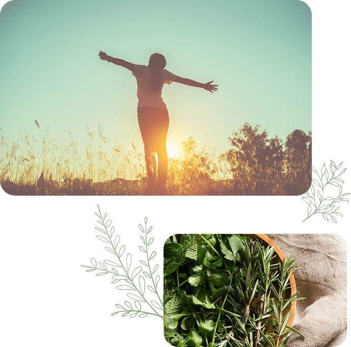 夕暮れの草原で両手を広げる女性と、新鮮なハーブの写真を組み合わせたコンセプトビジュアル